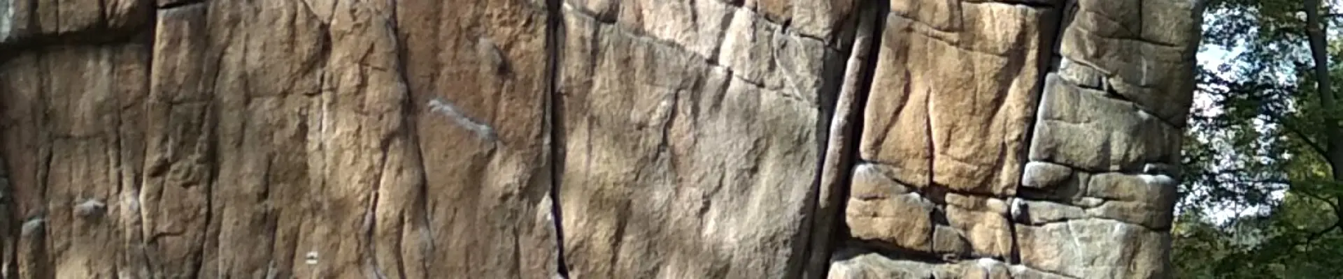 Kurs skałkowy Sokoliki