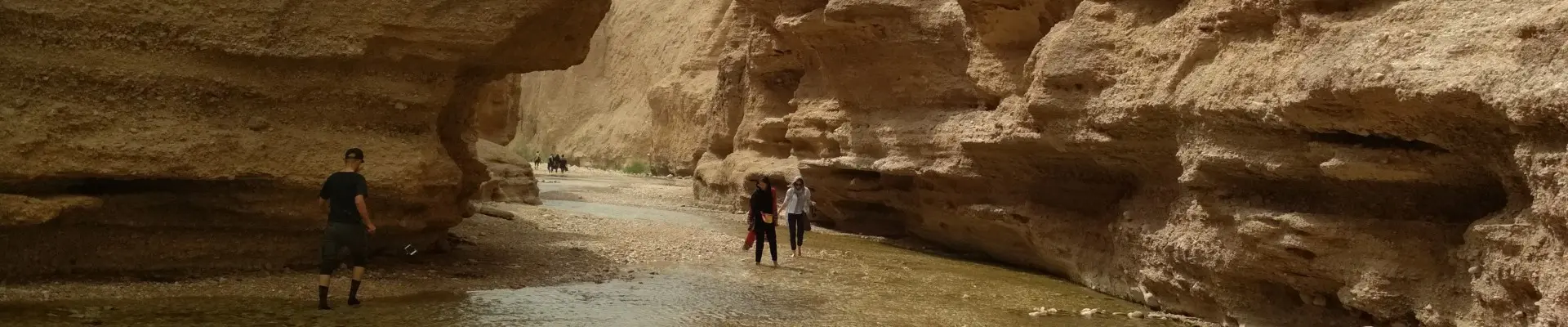 Kursy wspinaczkowe w czasach Covidu