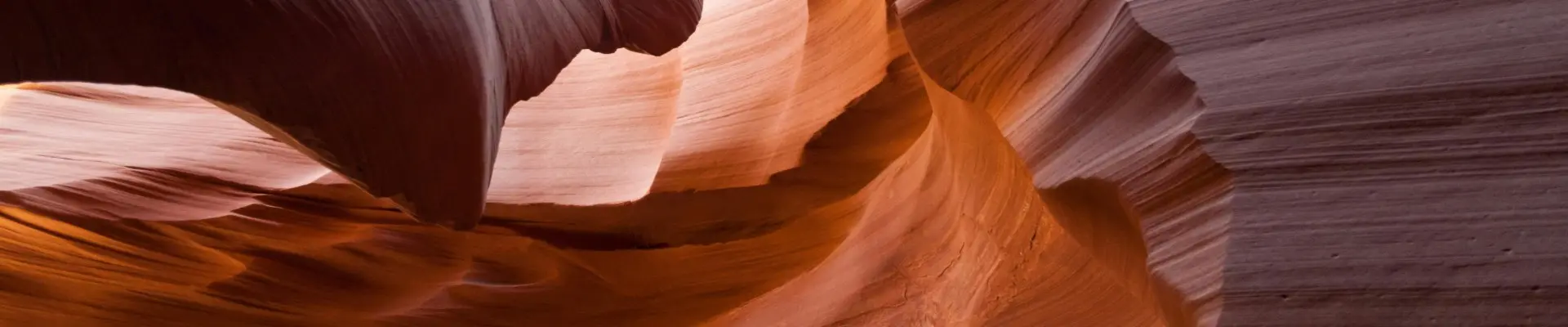 Przeczytaj koniecznie zanim wybierzesz kurs czy instruktora