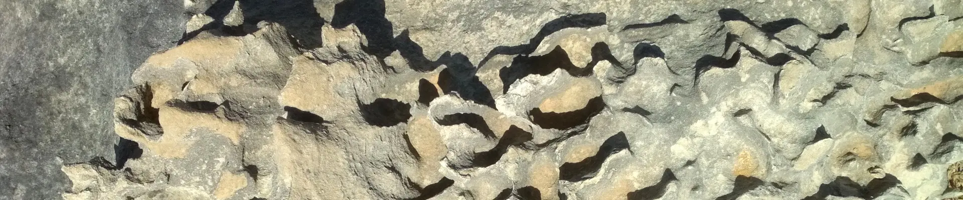 Polityka prywatności